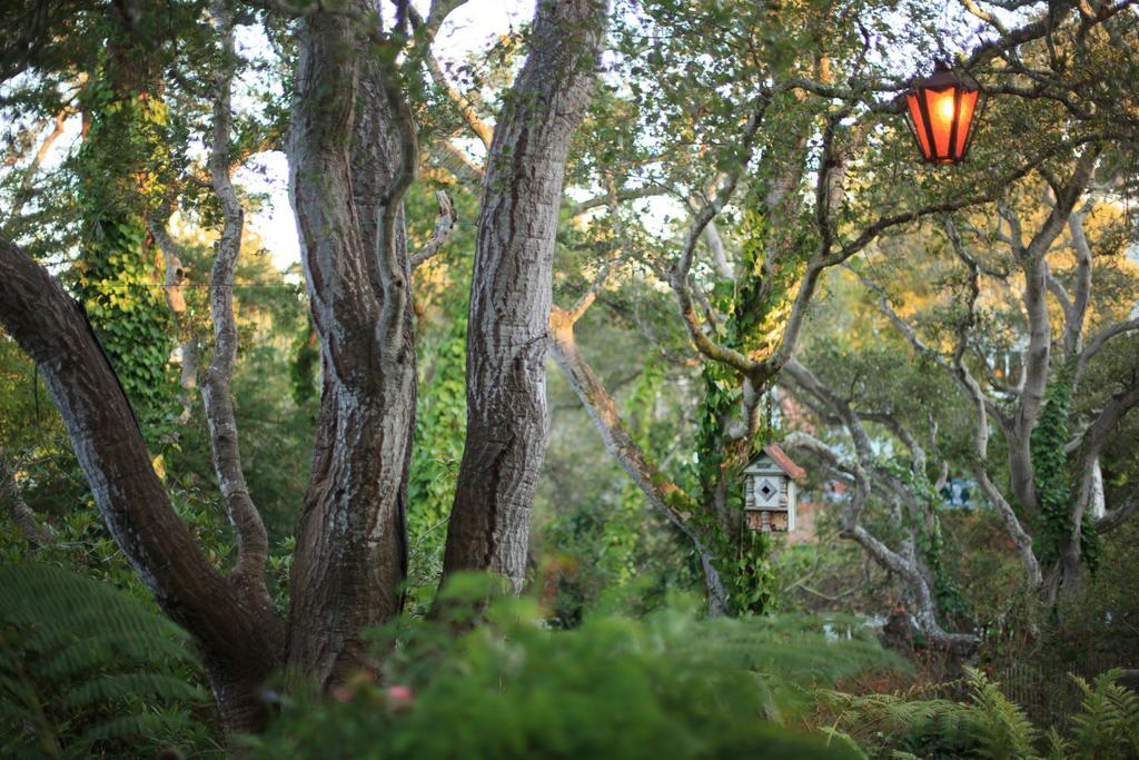 Old Monterey Inn Exteriér fotografie
